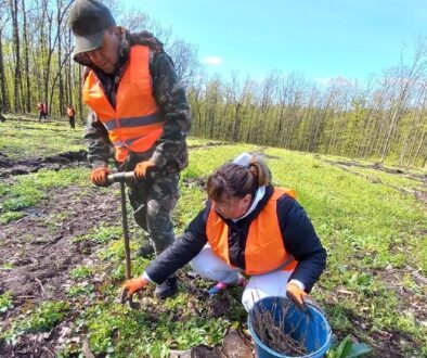 Пів гектара нового лісу: на Тульчинщині висадили 1800 сіянців